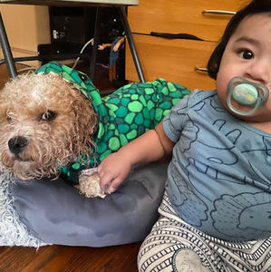 Meet your Posher, Joseph olivarez